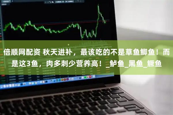 倍顺网配资 秋天进补，最该吃的不是草鱼鲫鱼！而是这3鱼，肉多刺少营养高！_鲈鱼_黑鱼_鳜鱼